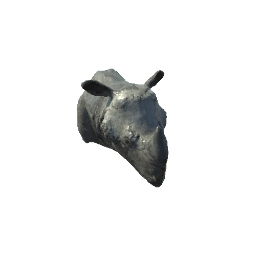 Rhino Head